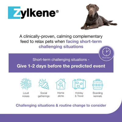 Zylkene Calming Supplement for Large Dogs 15 - 60 kg - Saver Pack: 2 x 20 Capsules
