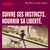 Femme faisant du jogging avec son chien en laisse dans le parc. Femme faisant du jogging avec son chien en laisse dans le parc.