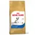 Royal Canin Siamese Adult, pienso para gatos siameses mayores de 12 meses. Imagen de un gato siamés y croqueta en el envase. Texto visible: Feline Breed Nutrition.