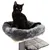 Schwarze Katze sitzt auf einem grauen Kratzbaum mit gepolsterter Liegefläche und Plattformen.