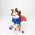 DC Superman tennisballen set