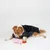 Gioco per cani  con anello Warner Bros™ Harry Potter Dobby