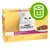 Purina Gourmet Gold Double Délice Luxe Mix, opakowanie 12 x 85 g. Widoczny biały kot i talerz karmy. Zielona ikona z symbolem puszki i liczbą 12. Purina Gourmet Gold Double Délice Luxe Mix, opakowanie 12 x 85 g. Widoczny biały kot i talerz karmy. Zielona ikona z symbolem puszki i liczbą 12.