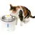 Gatto che beve da una fontana bianca con superficie in acciaio inox e decorazione a forma di fiore. Marca: Catit.