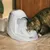 Fuente automática Drinkwell Platinum de plástico gris, con un gato bebiendo agua del chorro. Marca y modelo visibles en la base frontal.