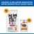 Hill's Science Plan Kitten Stérilisé croquettes au poulet et bouchées premium en sauce au poulet pour chats stérilisés, images du produit côte à côte.