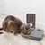 Graue Katze frisst aus einem grauen Futterautomaten von PetSafe mit geöffnetem Deckel und zwei Fächern für Trockenfutter.