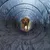 Chien beige traversant un tunnel d’agility en tissu bleu, vu de l’intérieur du tunnel. Le produit visible est le tunnel d’agility pour chien.