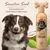 Pet Head Sensitive Soul champú para perros con piel sensible, coco y aceite de marula, 300 ml. Contiene extractos de aceites naturales.