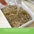 Cat grass as a dietary supplement for digestion. Simply water and keep moist.