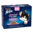 Felix "Tendres Effilés" Junior 24 x 85 g pour chat - sélection mixte
