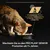 PURINA PRO PLAN Sterilised Adult Maintenance