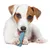 Chien blanc tenant un jouet à mâcher bleu en plastique texturé entre ses pattes avant, sur fond blanc. Chien blanc tenant un jouet à mâcher bleu en plastique texturé entre ses pattes avant, sur fond blanc.