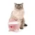 Rosa Katzentrinkbrunnen mit Katzenohren-Design und Herzmotiv, neben einer Katze platziert.