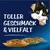 Toller Geschmack & Vielfalt, drei Schalen mit verschiedenen Sorten Katzenfutter. Toller Geschmack & Vielfalt, drei Schalen mit verschiedenen Sorten Katzenfutter.