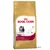 Saco de pienso Royal Canin Kitten Persian, texto visible: 'Up to 12 months old', imagen de un gatito persa y croqueta. Texto adicional: 'Feline Breed Nutrition'.