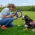 Person shows a dog two purple play rings on a lawn. Dog wears a harness and looks attentively at the person.