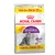 ROYAL CANIN Regular Sensible 33, 12 kg bag, 10 kg + 2 kg free, for sensitive adult cats. Visible text: Optimal Digestion, High Palatability. Image of a grey cat on the packaging.