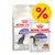 4 kg Royal Canin + 24 x 85 g Royal Canin in Saus Kattenvoer British Shorthair Adult + Intense Beauty in Saus