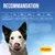 Tableau de recommandations Josera : quantité de nourriture par jour selon le poids du chien, de 320–430g (5kg) à 1.500–2.060g (40kg). Conseils d’adaptation et eau fraîche mentionnés.