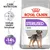 ROYAL CANIN STERILISED MINI, udržuje ideální hmotnost, osvědčené výsledky -14 % kalorií, balení s obrázkem malého psa ROYAL CANIN STERILISED MINI, udržuje ideální hmotnost, osvědčené výsledky -14 % kalorií, balení s obrázkem malého psa