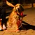 Hund mit leuchtendem Halsband und Leine für bessere Sichtbarkeit bei Nachtspaziergängen.