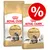 Zwei Beutel Royal Canin Adult Maine Coon Katzenfutter mit rotem Prozentzeichen für Rabattaktion. Zwei Beutel Royal Canin Adult Maine Coon Katzenfutter mit rotem Prozentzeichen für Rabattaktion.