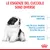 Le esigenze del cucciolo sono diverse: difese naturali immature, moltiplica il proprio peso alla nascita di oltre 100 volte, sistema digestivo delicato.