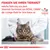 Fragen Sie Ihren Tierarzt, welche Nahrung aus dem Veterinär-Sortiment von Royal Canin die richtige Wahl für Ihre Katze ist. Veterinary Nutrition Logo sichtbar.