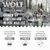 Wolf of Wilderness: разнообразие для каждого приема пищи. Кормить как полноценное блюдо, смешивать с сухим кормом, подавать как лакомство. Три иконки способов использования.