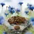 Brown round kibble pieces displayed on a rock with a size scale showing 10–11mm diameter, set against a background of blue flowers.