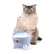 Taça para gato azul com design de orelhas de gato e motivo de coração vermelho, cheia de leite. Gato sentado ao fundo.