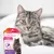 Beaphar CatComfort успокаивающий спот-он для кошек, снижает стресс. Упаковка с деталями продукта и инструкцией по применению.