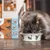 Cat eating from a bowl in front of a box showing three types of wet food portions, each with four servings: tuna loin, tuna and sardine, and tuna and mackerel.