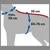 Schéma de mesures sur chien : tour de cou max. 58 cm, longueur du dos 50 cm, tour de poitrail 60–76 cm.