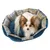 Rundes Hundebett mit blauem Stoff und kariertem Rand, geeignet für kleine Hunde.