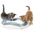 Two kittens playing with a circular interactive track toy containing green balls, demonstrating product use and engagement.