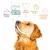Reines Futter, perfektes Eiweiss-Fett-Verhältnis, Tierschutz, bessere Welt, glückliche gesunde Hunde. Golden Retriever mit weissem Lächeln dargestellt.