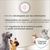 Concept for Life Boxer Adult pour chien