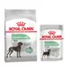 Royal Canin CARE Nutrition Maxi 10 kg / 12 kg + aliment humide : 15 % de remise ! - Digestive Care (12 kg) + sachets CARE Nutrition Digestive Care en mousse (12 x 85 g)