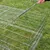 Metalen ren met traliewanden, deksel wordt met de hand geopend. Ren geplaatst op groen gras.
