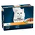 Purina Gourmet Perle Les Filettines in Sauce, mini fillets in sauce. Varieties: turkey, duck, lamb, tuna. Pack of 12x85g.