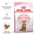 Royal Canin Kitten Sterilised 6-12 months. Starke körpereigene Abwehrkräfte, Wachstum & Gewichtskontrolle, angepasste Krokettengrösse. Verpackung mit Katze und Stage 4 Symbol.