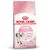 Royal Canin Kitten, up to 12 months, strong immune system, brain development, with an image of a cat on the packaging. Royal Canin Kitten, up to 12 months, strong immune system, brain development, with an image of a cat on the packaging.