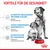 Texte en allemand : VORTEILE FÜR DIE GESUNDHEIT. Avantages pour la santé : soutien des chiennes et chiots, défenses naturelles, microbiome. Royal Canin visible sur la gamelle.
