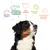 Reines Futter, perfektes Eiweiß-Fett-Verhältnis, Tierschutz, bessere Welt, glückliche gesunde Hunde. Bernhardiner-Hund mit grafischen Symbolen und Text.