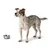 Hund steht neben einem leeren Futternapf aus Edelstahl und leckt sich die Schnauze.
