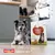 SMØLKE Adult Maxi Hundefutter, Complete all-in-one dog food, daily balance, feed the love. Verpackung neben Hund abgebildet. SMØLKE Adult Maxi Hundefutter, Complete all-in-one dog food, daily balance, feed the love. Verpackung neben Hund abgebildet.