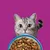 Whiskas 1+ tonhal