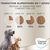 Concept for Life Boxer Adult pour chien